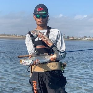 Meet your Posher, Mikey